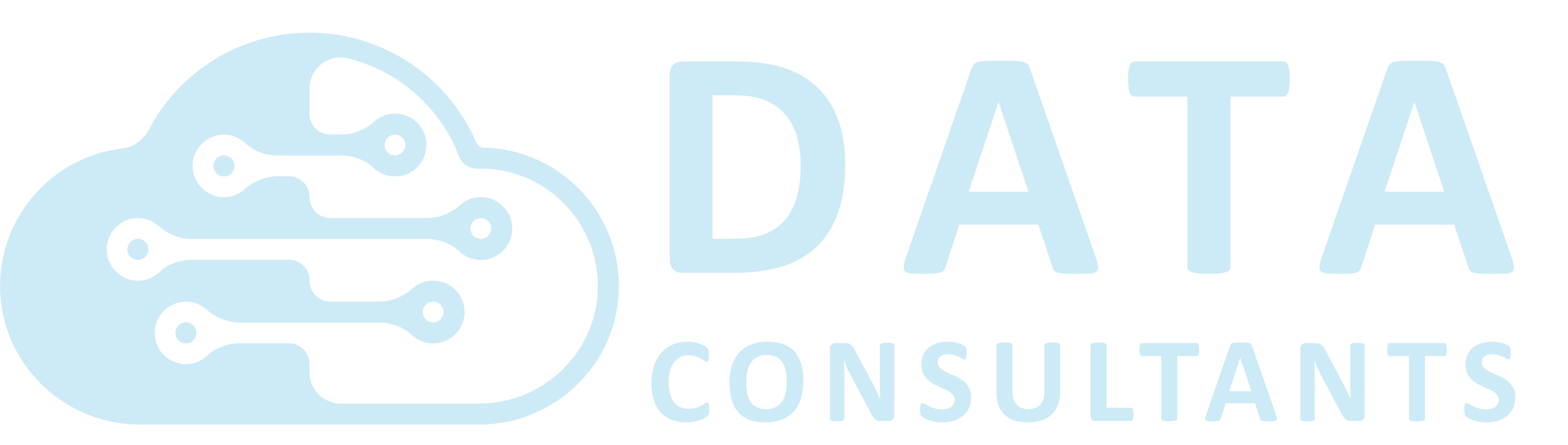 Data Consultant